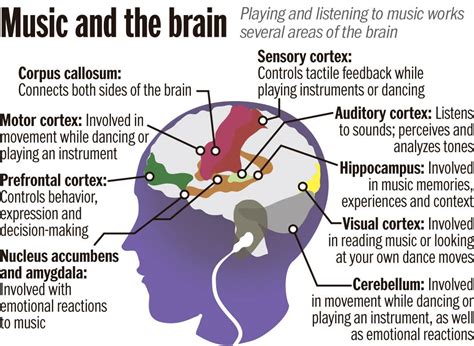 How Do Different Genres of Music Affect the Brain: A Diverse Exploration