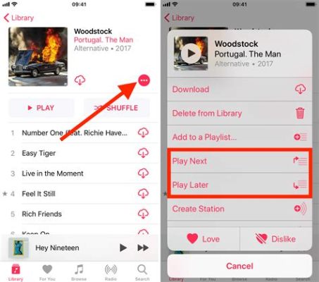 How to Make a Queue on Apple Music: A Guide to Managing Your Playlist